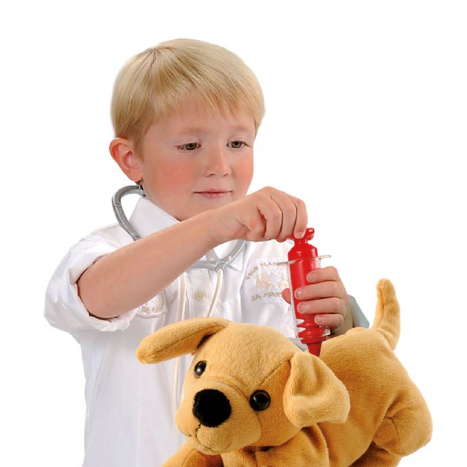 Djurtransport med tillbeh�r version 5