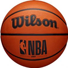 Wilson DRV basket