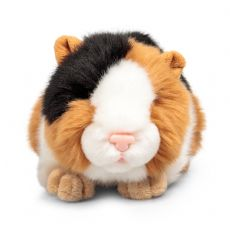 Animigos Marsvin Teddybj�rn 37234 box