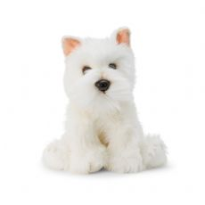 Animigos Westie Hund 38475 box