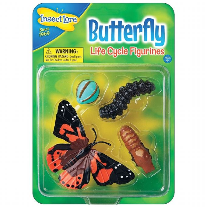 Life cycle Butterfly version 2