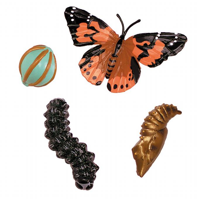 Life cycle Butterfly version 1