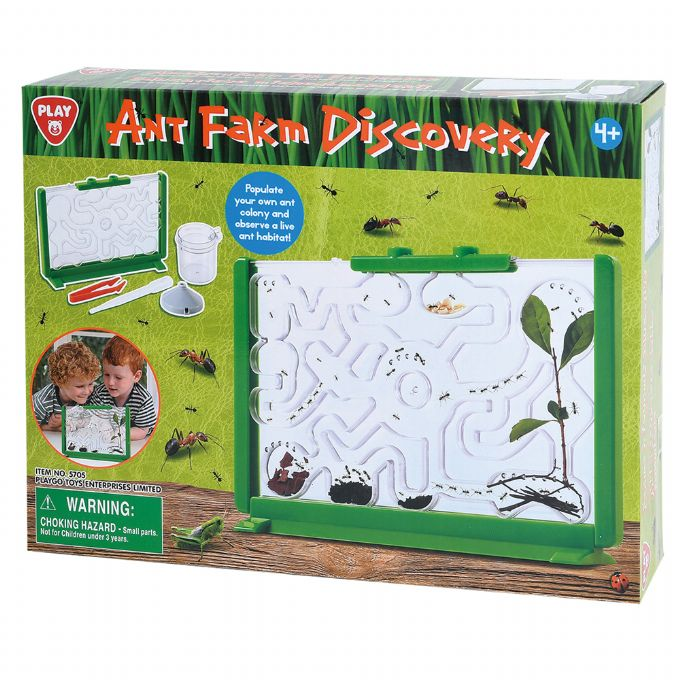 Spela Discovery Ant Farm version 2