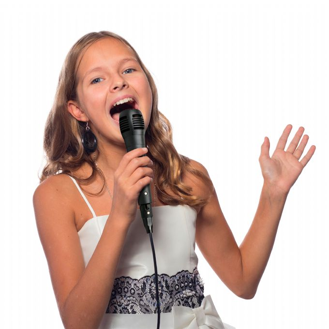 Karaokekaiutin mikrofonilla version 3