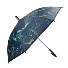 Umbrella with dinosaurs