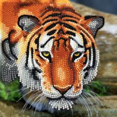 Crystal Art Onnittelukortti Tiger 18x18 cm