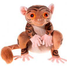 Apan Fitzgeraldo, 13 cm