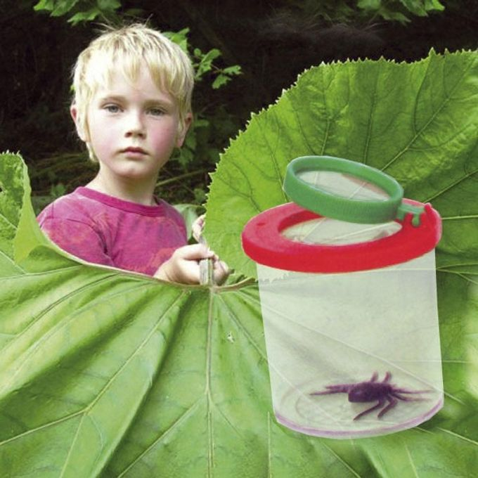 Insect glass with magnifying glass 2 pcs version 1