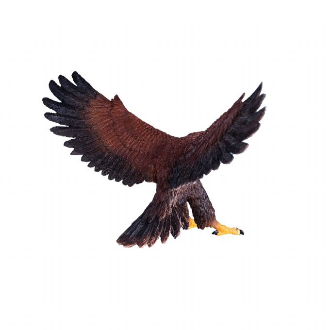 Golden eagle version 2