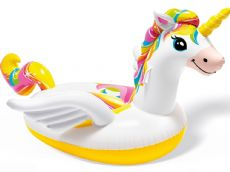Float unicorn