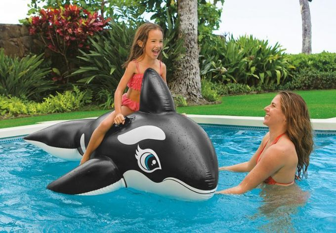 Orca inflatable 193x119 cm version 3