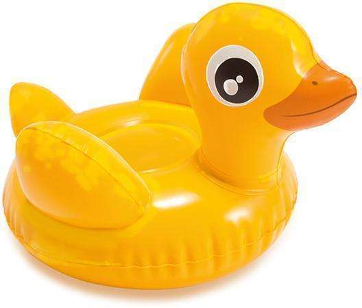 Swimming animal Duck version 1