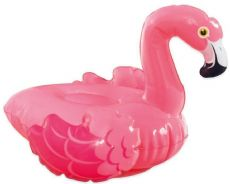 Swimming animal Flamingo