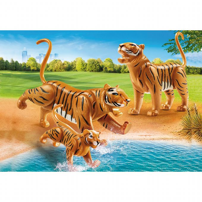 Tv tigrar med unge version 1