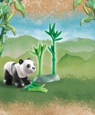 Wiltopia - Baby panda