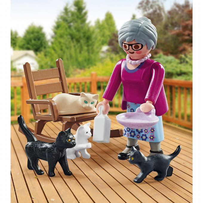 Grandma with cats version 3