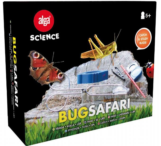 Bug safari version 2