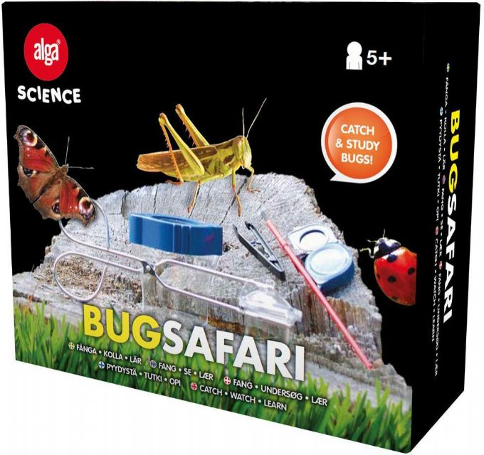 Bug safari version 1