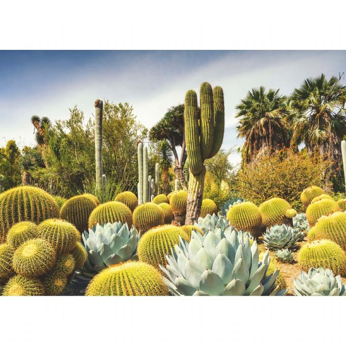 Huntington Desert Garden 1000 Brikker version 2