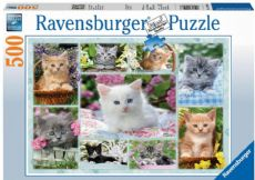 Katzenpuzzle 500 Teile