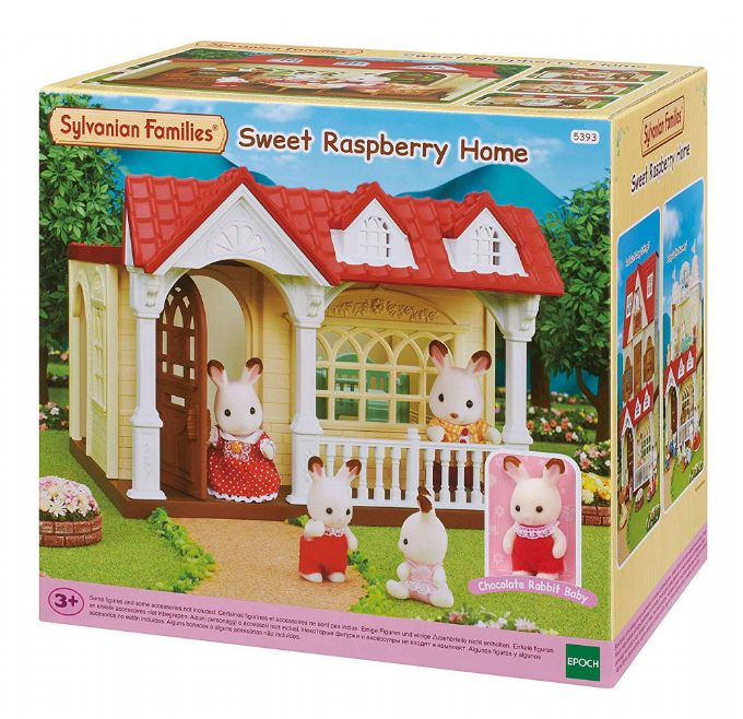 Raspberry House version 2