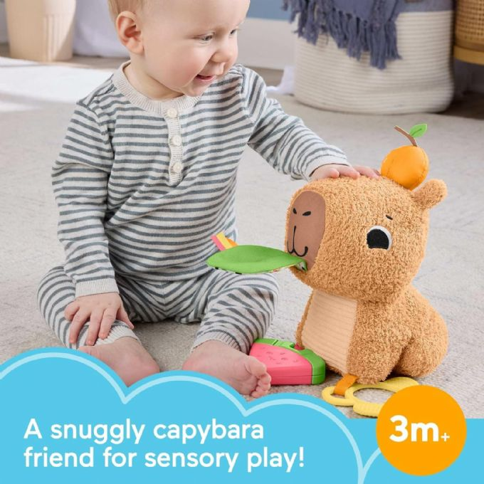 Fisher-Price Kuschelige Snacky version 3
