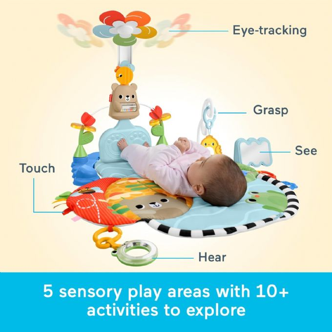 Fisher-Price Kick + Sway Gym version 5