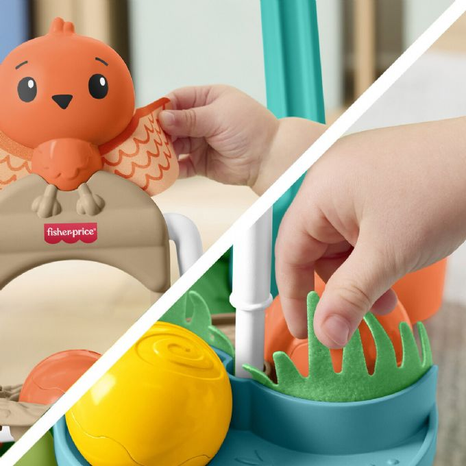 Fisher-Price Turtle Walker version 5