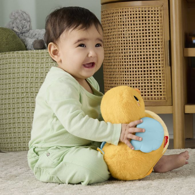 Fisher-Price Flap + Follow and version 3