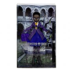Monster High Puppen JDR71 box