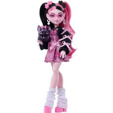 Monster High Puppen JHK29 box