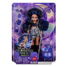Monster High Puppen JMB89 box