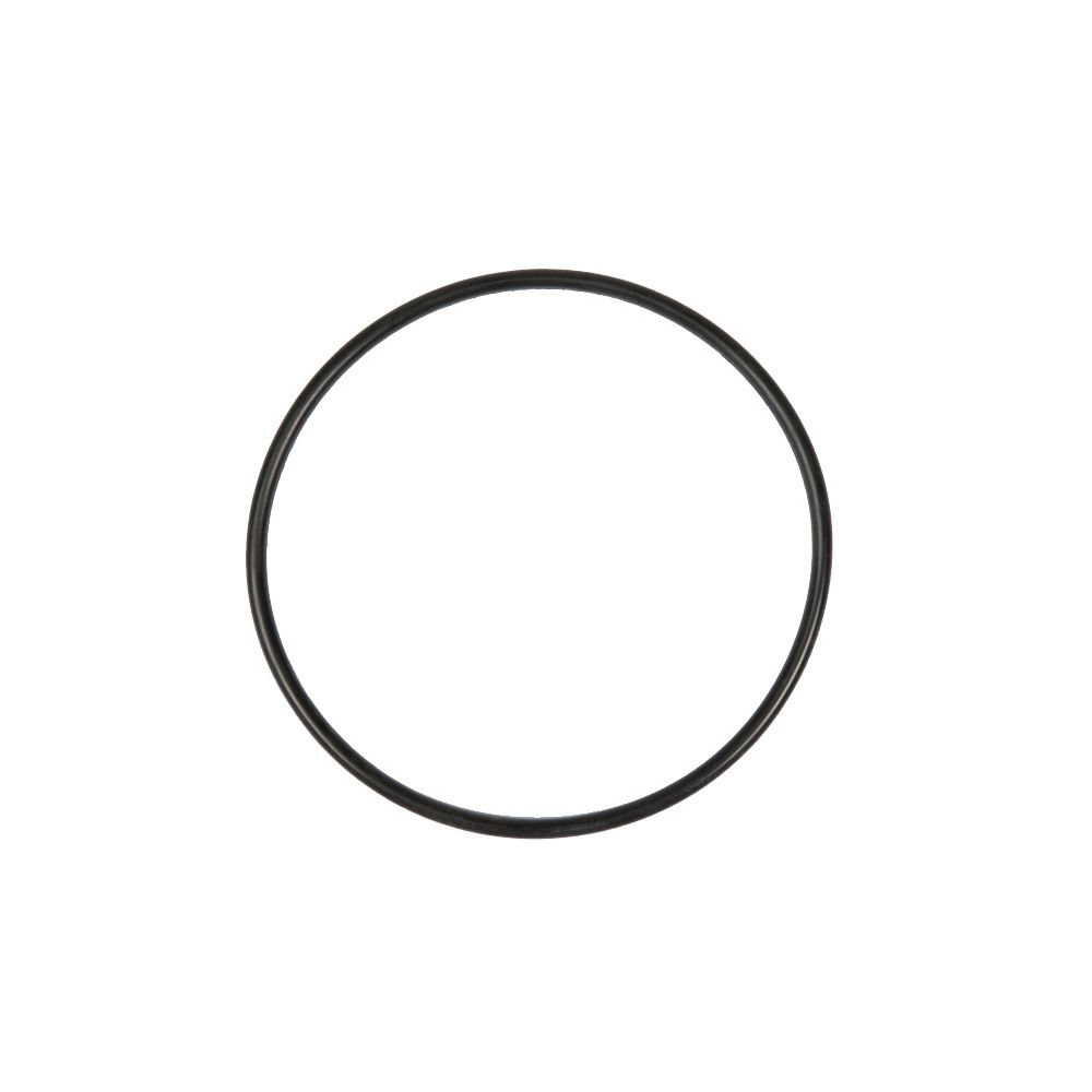 Top O-ring til Sandfilter