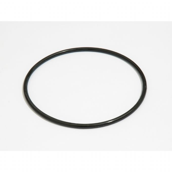 O-ring Filterhtte filterpumpe 9.463L version 2