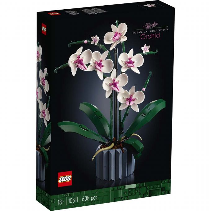 Orkidean kukka version 2