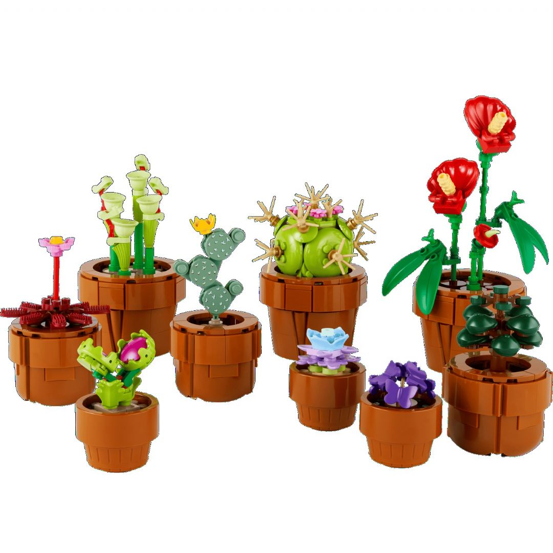 Små planter Små planter