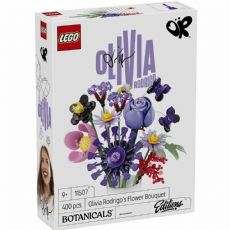 LEGO Botanicals 11507 box