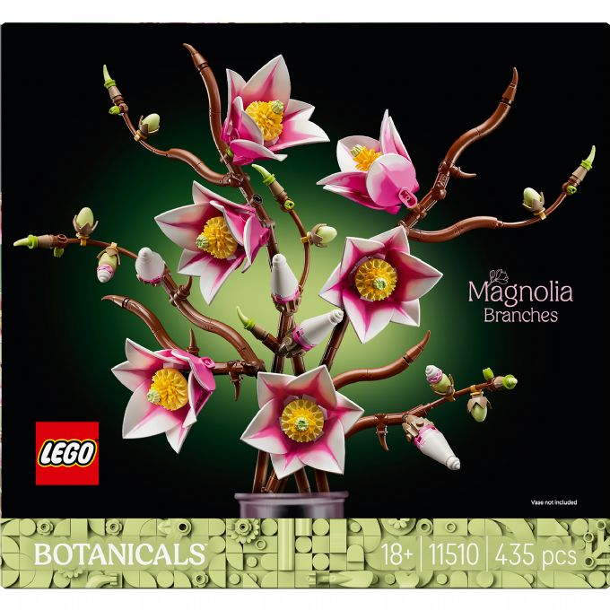 Magnolienzweige version 4