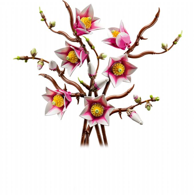 Magnolienzweige version 1