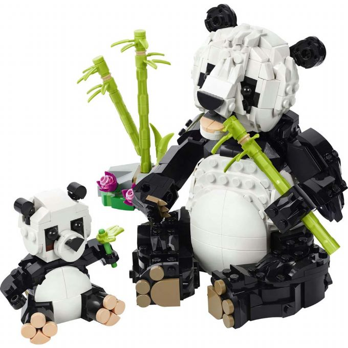 Wilde Tiere: Pandafamilie version 1