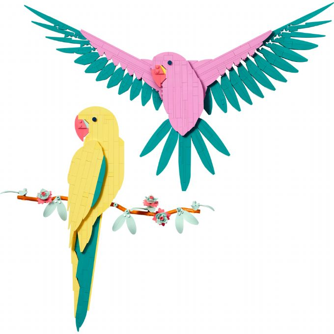 The fauna collection - Macaws version 1
