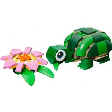 Skilpadde med vannliljeblomst