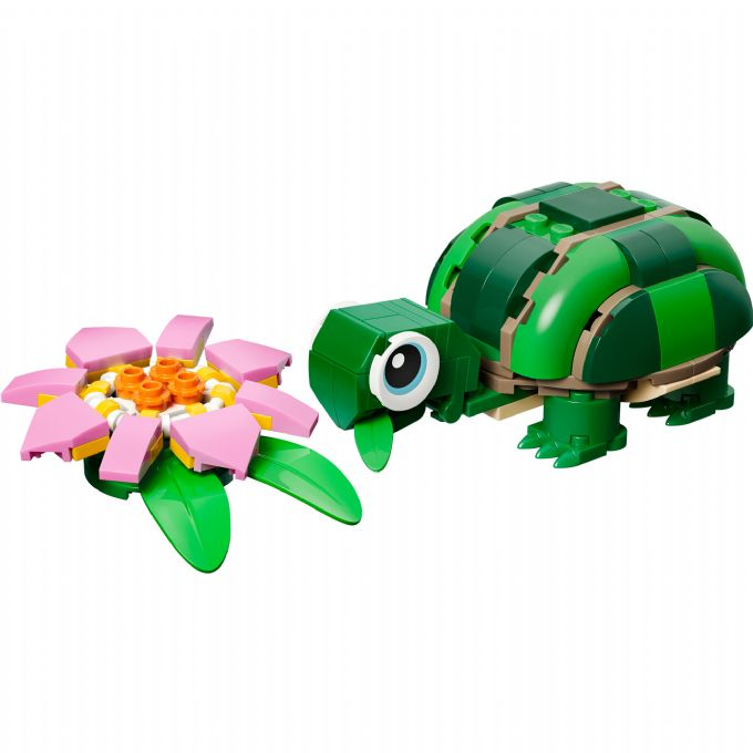 Skilpadde med �kandeblomst version 1