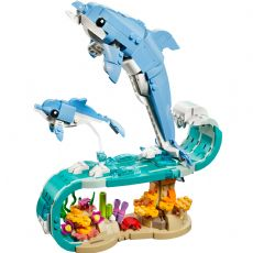 Sj�dyr: Vakre delfiner