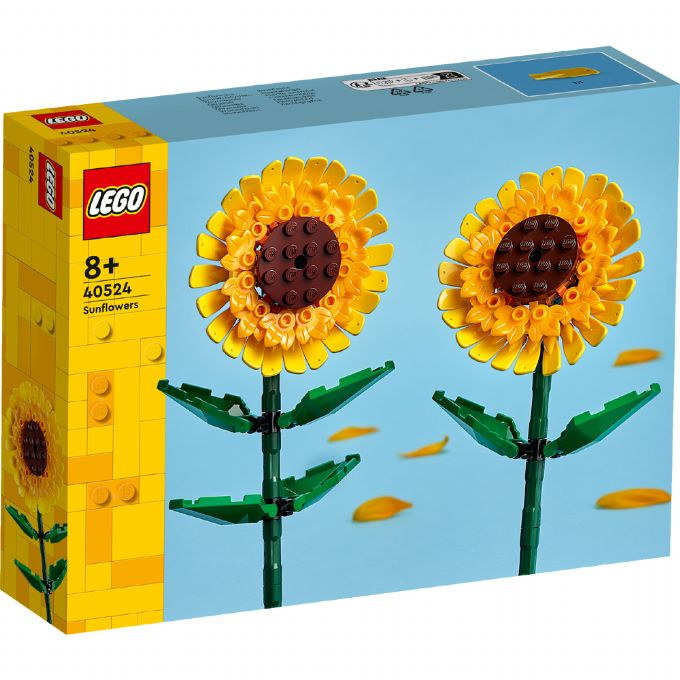 Sunflowers version 2