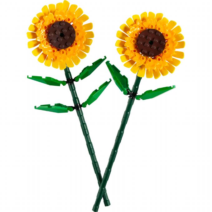Sunflowers version 1
