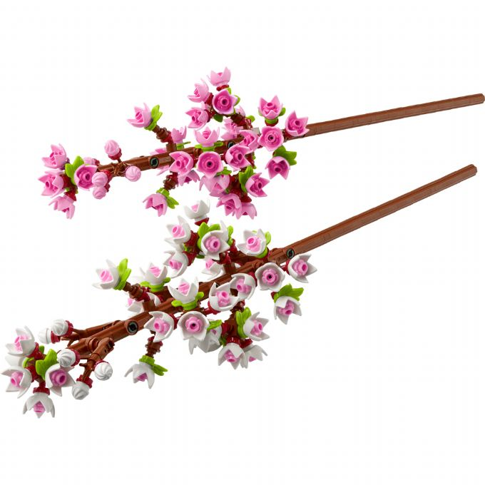 kirsikan kukat version 1