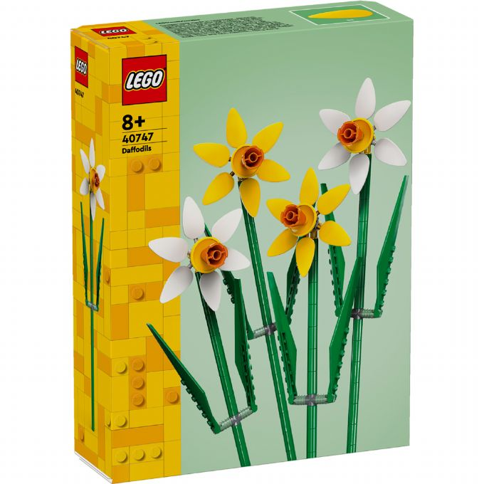 daffodils version 2