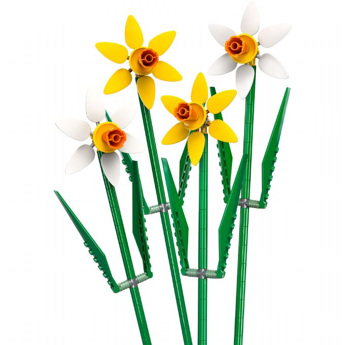 daffodils version 1