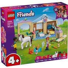 LEGO byggeklosser Venner 42696 box